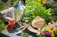 5 Garden Basics You Need To Make Your Life Easier