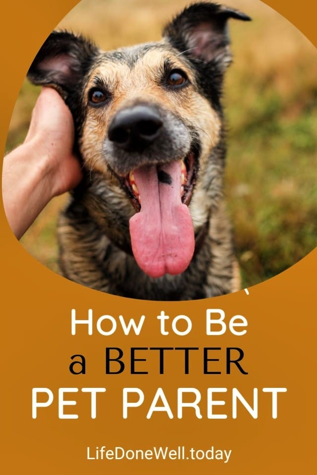 how to be a better pet parent