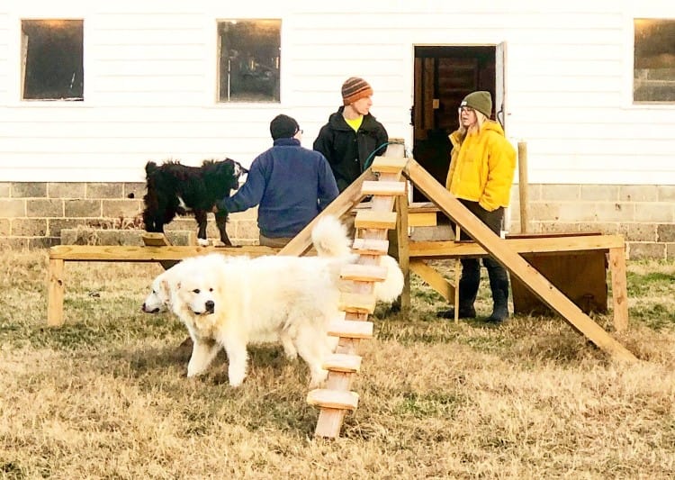 on the farm with the family