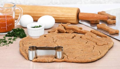 best homemade dog treats