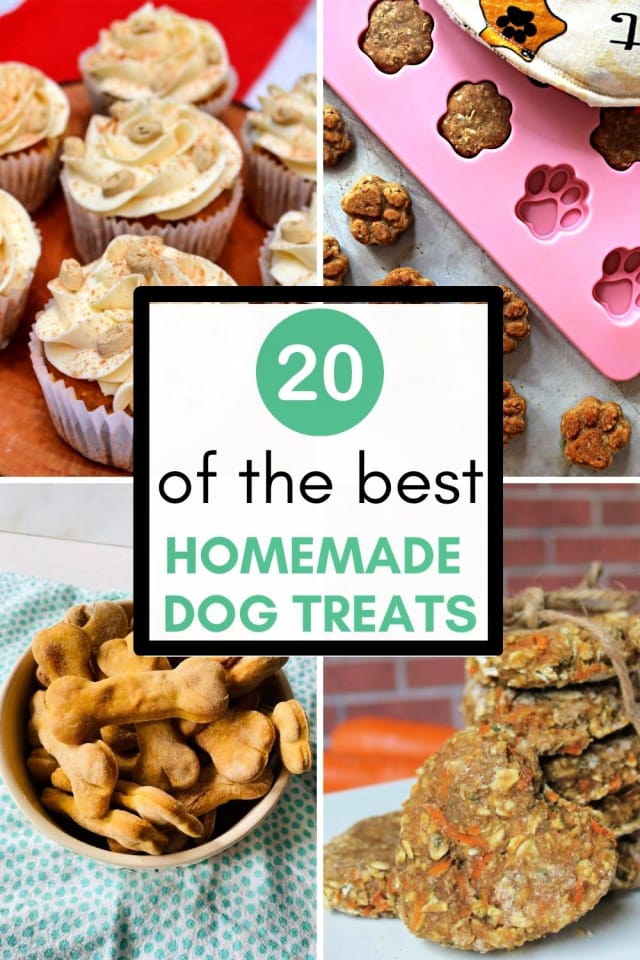best homemade dog treats