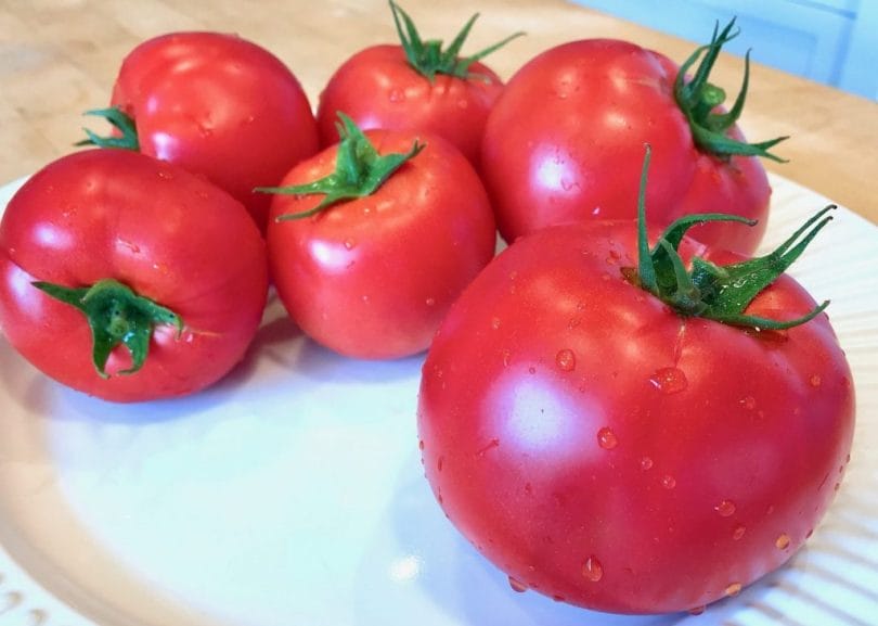Tomatoes are a great item to plant in your vegetable garden.